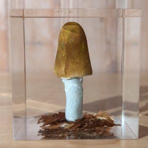 Vintage mushroom Encapsulated in Resin